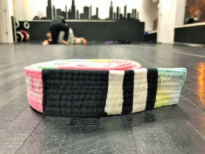 Team photo of Chicago School of Grappling members