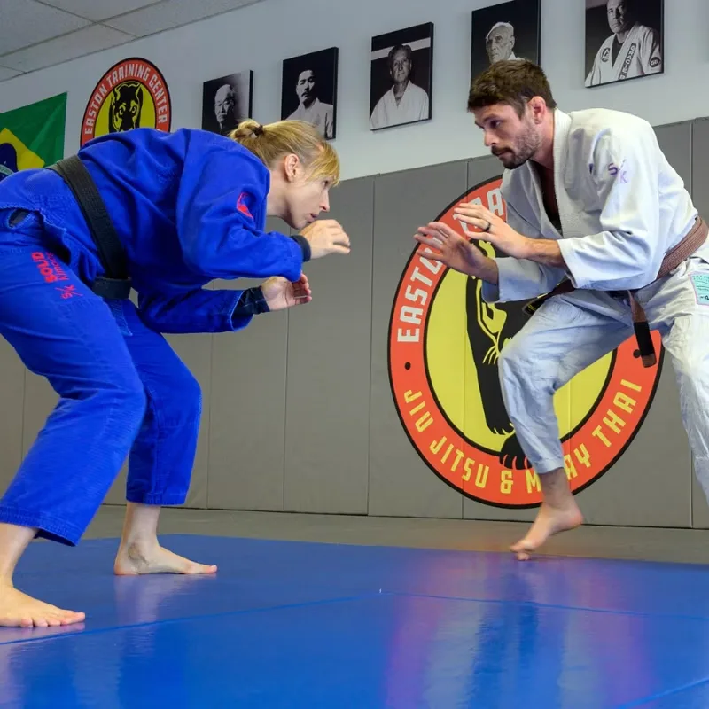 Brazilian Jiu Jitsu