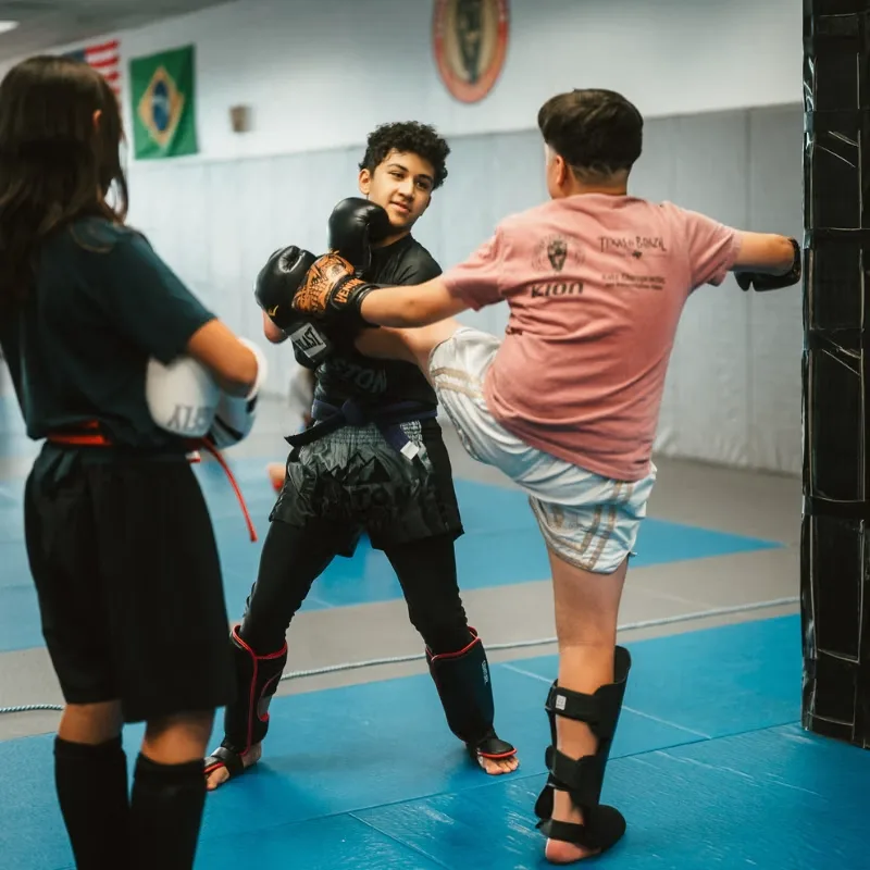 Muay Thai & Kickboxing