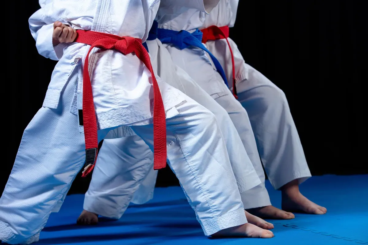 Adult & Teen BJJ
