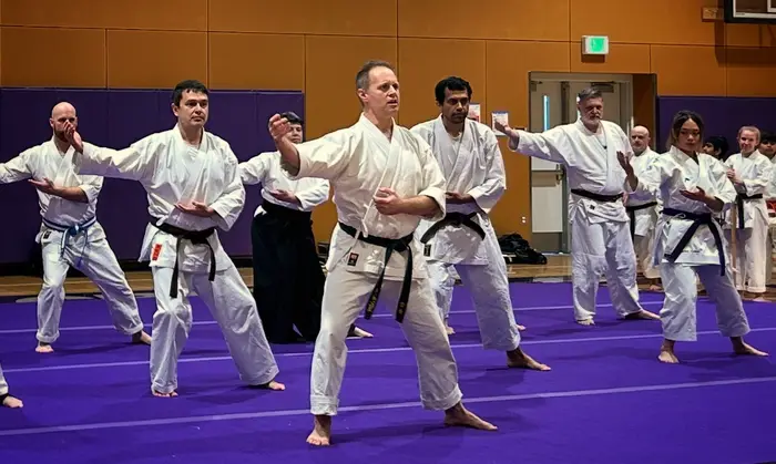 Inside the Evergreen Karate & Jiu Jitsu dojo