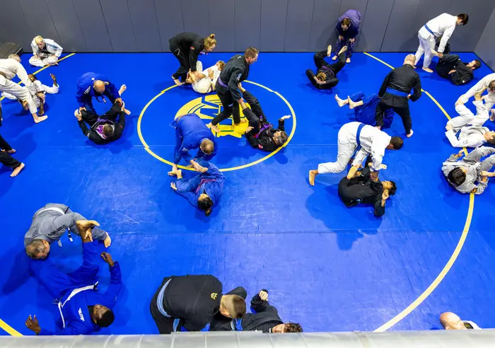 Group training at Hamel Jiu Jitsu Club