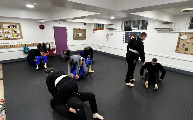 All Levels Gi BJJ