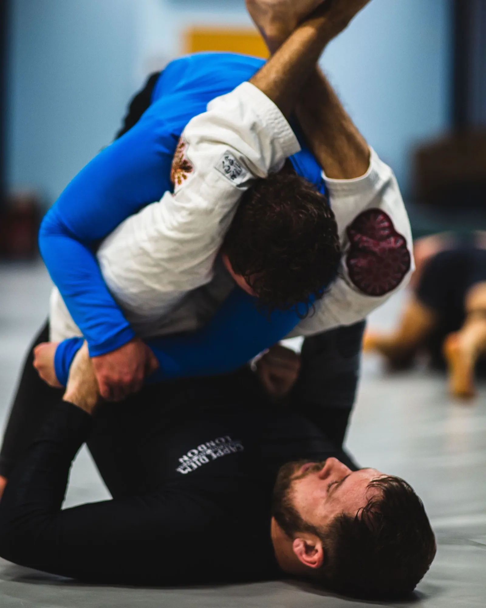 Brazilian Jiu Jitsu