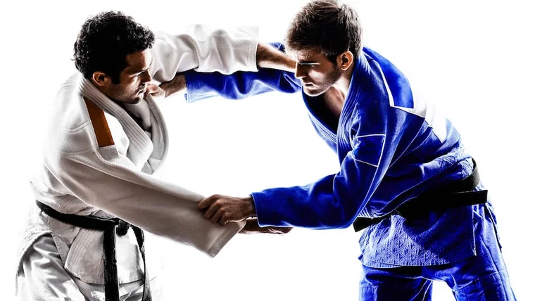 Adult BJJ