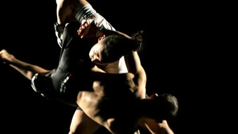 Mixte (MMA)